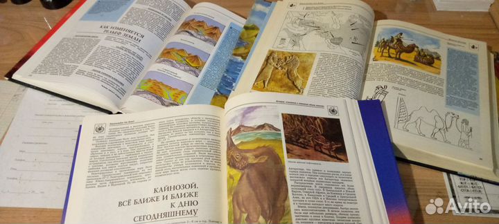 Нужные энциклопедии для школьников