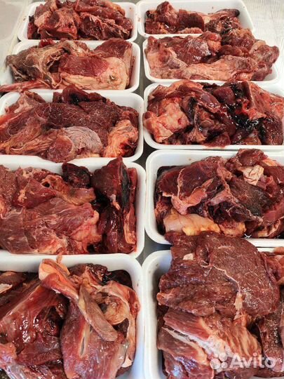 Мясо, субпродукты для собак