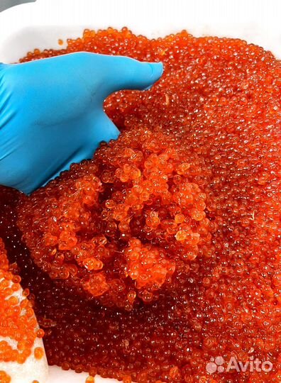 Красная икра оптом