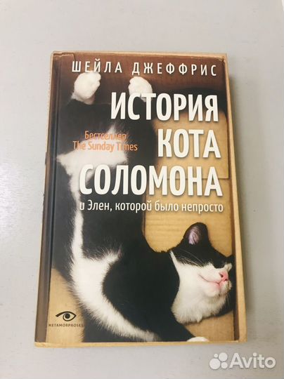 История кота Соломона
