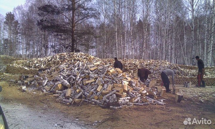 Дрова березовые с доставкой