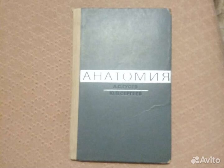 Анатомия