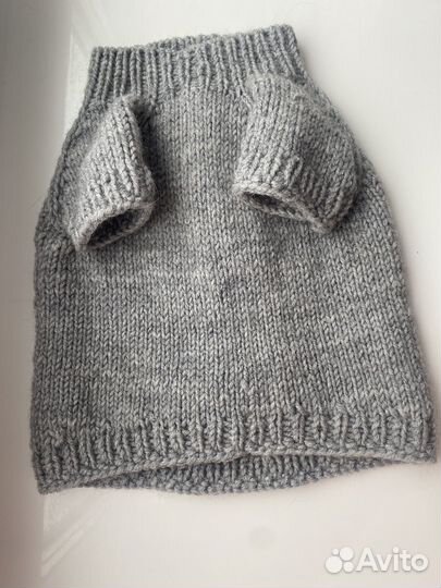 Одежда для животных