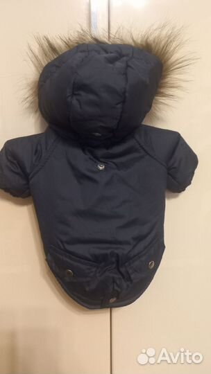 Одежда для собак мелких пород