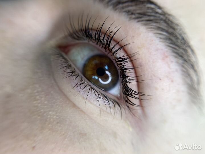 Коррекция и окрашивание бровей