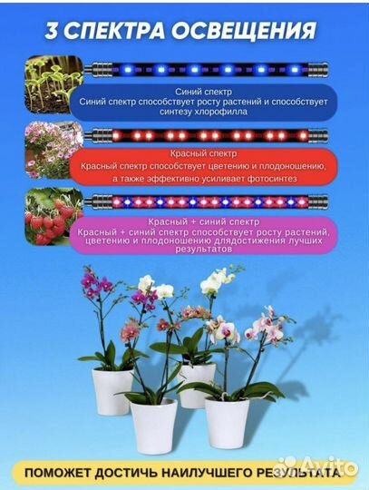 Фитолампа для растений, новая