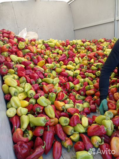 Продукты питания оптом с доставкой к дому