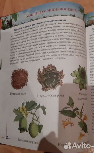Моя первая энциклопедия