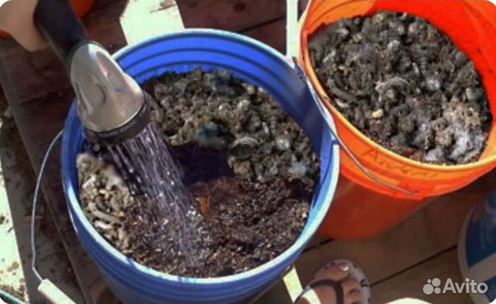 Перепелиный помет