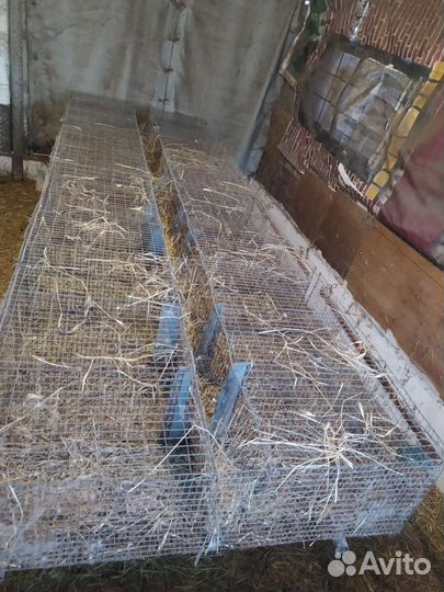 Клетки для кроликов птиц итд