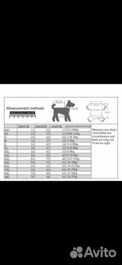 Домашние животные собаки маленькие
