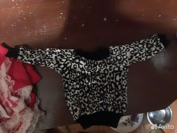 Одежда для чихуахуа