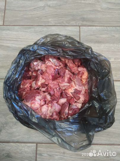 Обрезь говяжья головная для собак