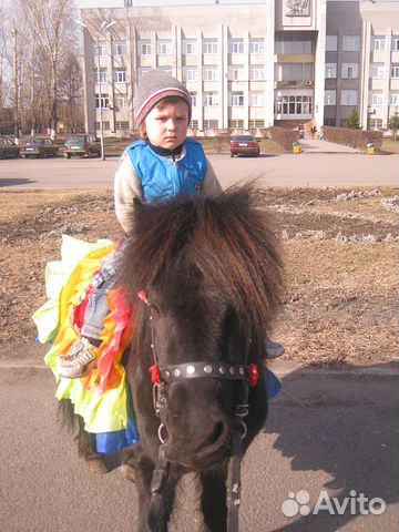 Продажа лошади,пони