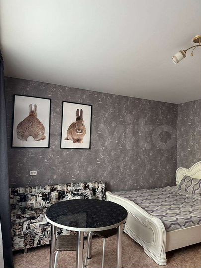 Квартира-студия, 23,9 м², 5/10 эт.