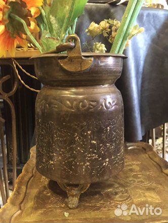 Зольник голландия