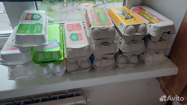 Коробка из под яиц