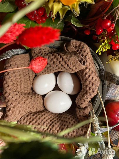 Продукты с фермы яйца масло сметана йогурты