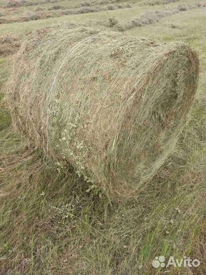 Сено в рулонах