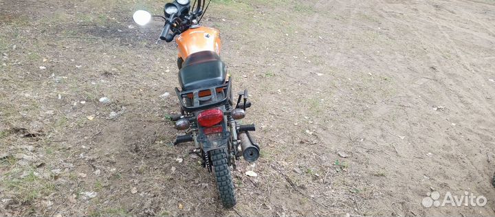 Альфа Рейсер