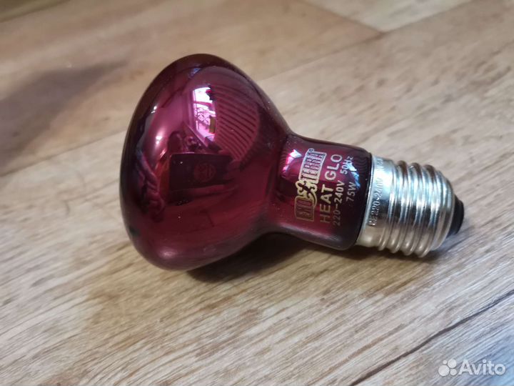 Лампы для террариума