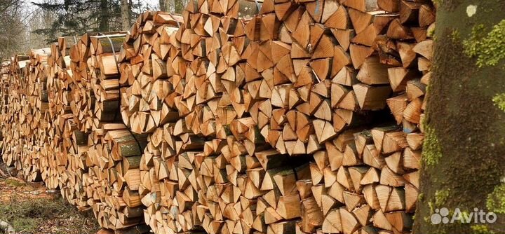 Дрова хорошие
