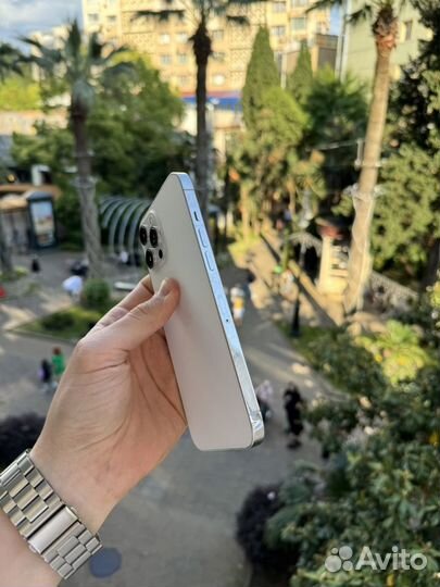 iPhone 12 Pro Max, 256 ГБ