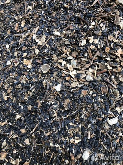 Отходы семечки жом