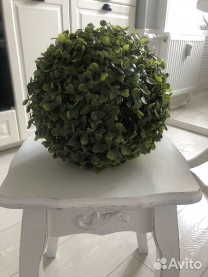 Искусственный самшит