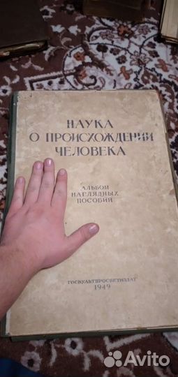 Наука о происхождении человека 1949