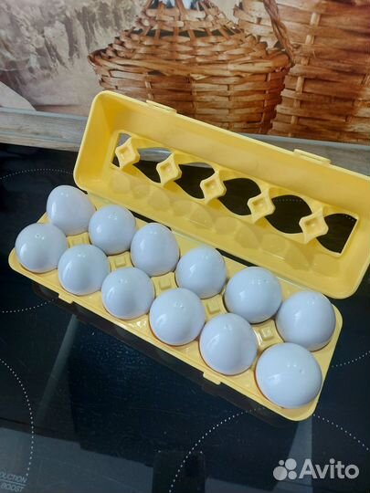 Сортер яйца