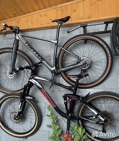 Mongoose teocali comp 2019