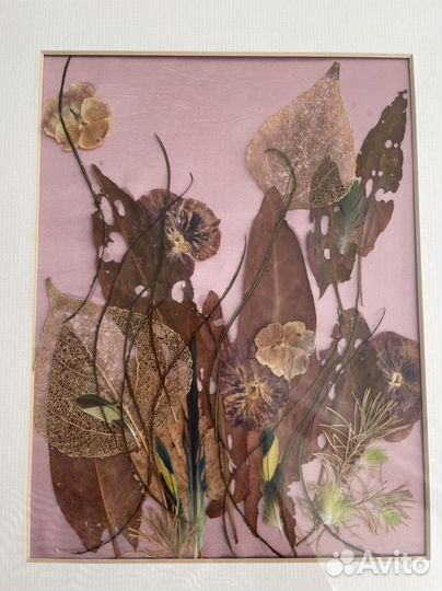 Картина «Гербарий на атласе»