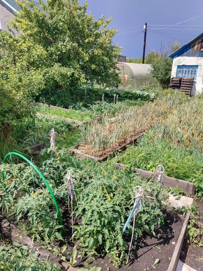 Дача 18 м² на участке 4 сот.