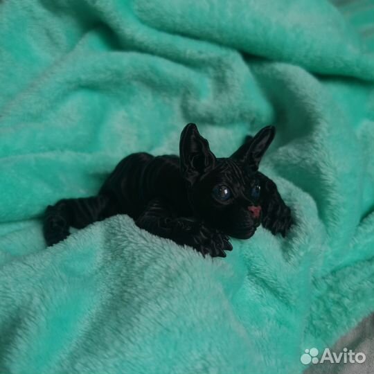3D Котёнок сфинкс - Буся