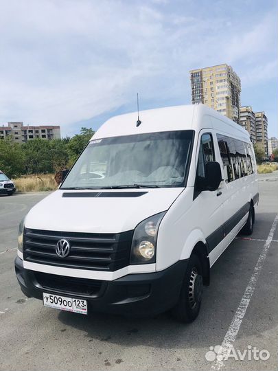 Аренда заказ микроавтобуса, Водитель, трансфер