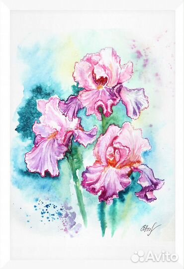 Картина акварелью Ирисы