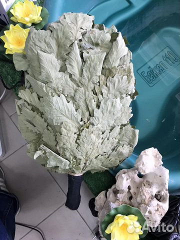 Венички для бани