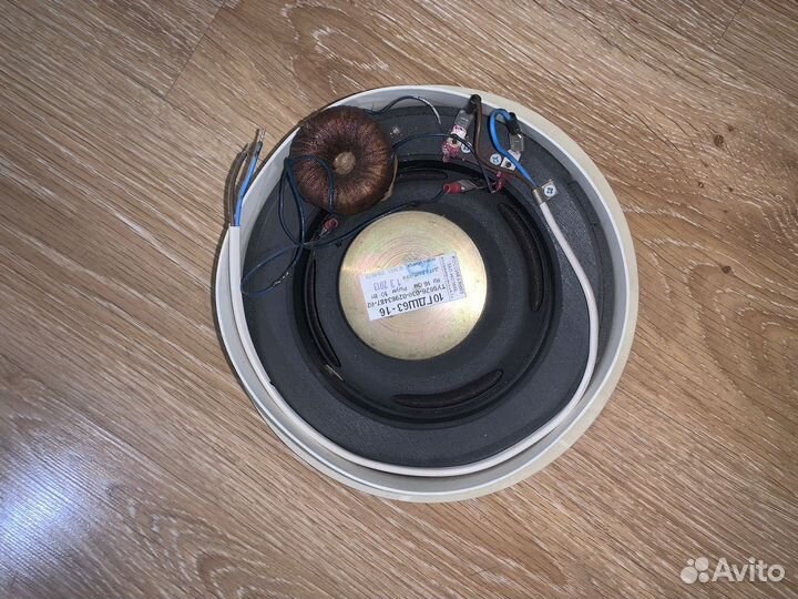 Динамики новые