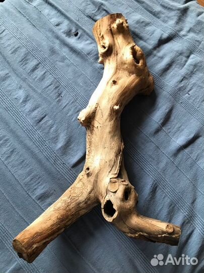 Коряга+поилка