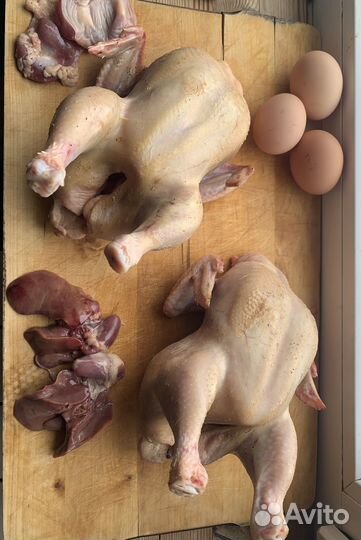 Цыплята бройлеры мясо халяль