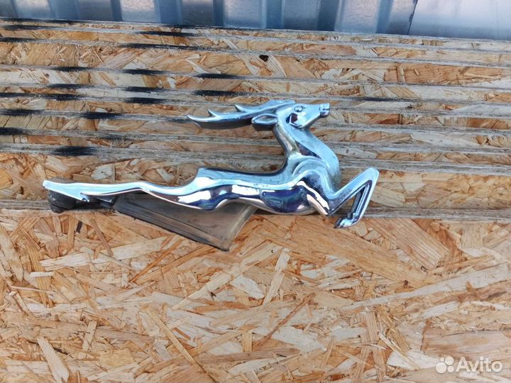 Олень на Волгу 21