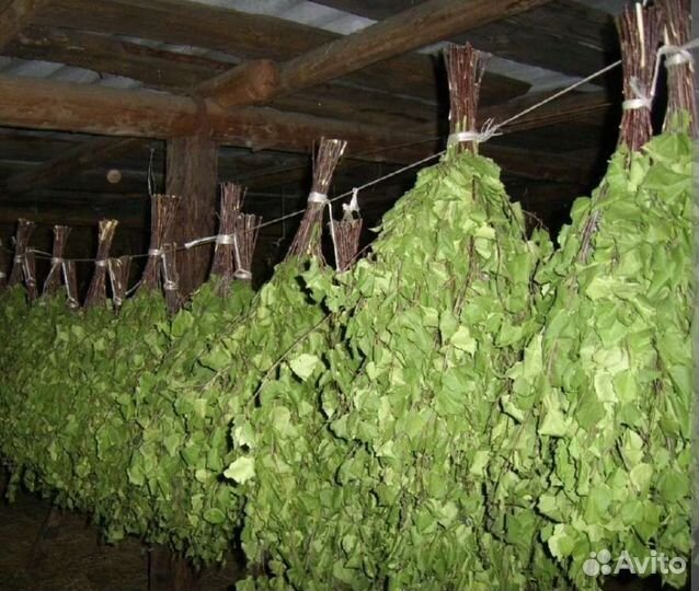 Березовые веники для бани дубовые и березовые