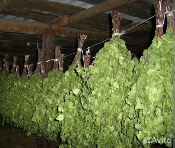 Березовые веники для бани дубовые и березовые