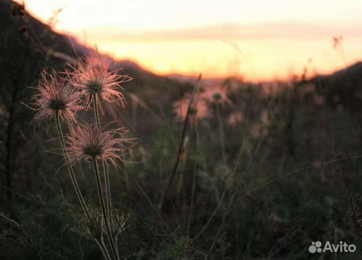 Зеркальный фотоаппарат canon 600d