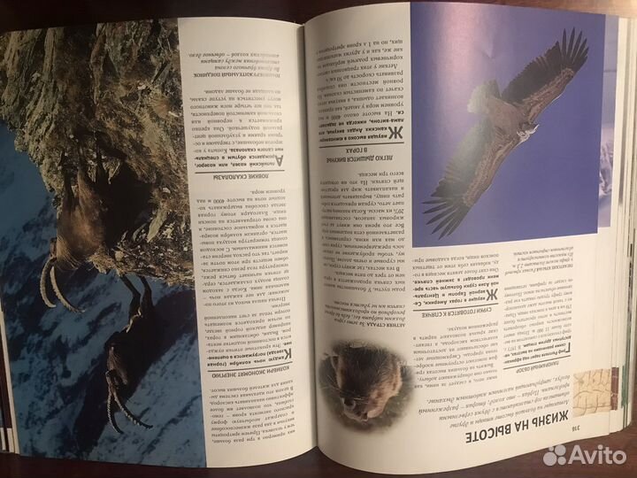 Ридерз дайджест 100 чудес природы