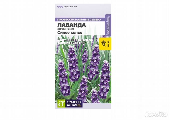 Лаванда Синее копье Семена