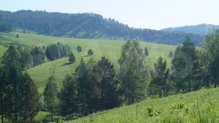 Участок 489,3 га (СНТ, ДНП)
