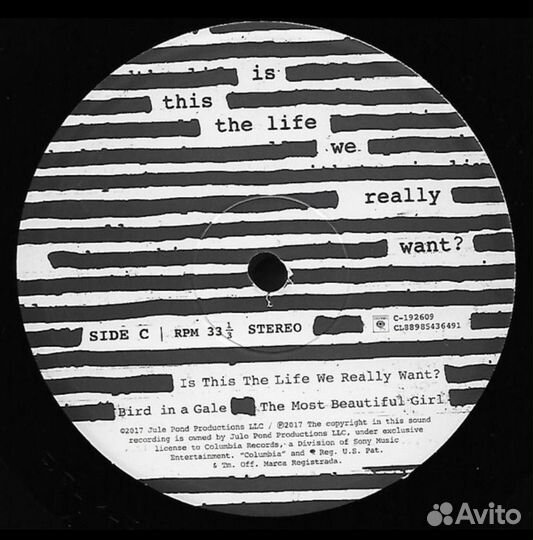 Roger Waters -Is This The Life We Really Want 2LP