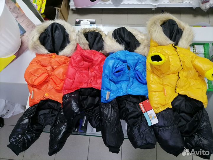 Одежда для собак